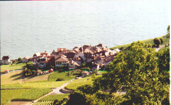 Vevey.jpg (46922 bytes)
